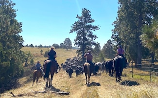 100 Mule Creek Rd, Hulett, WY 82720