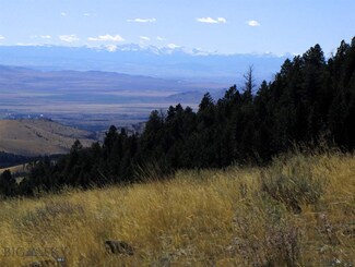 32 Badger Gulch Rd, Townsend, MT 59644