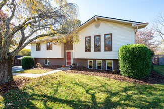 3002 Newbern Dr, Johnson City, TN 37604