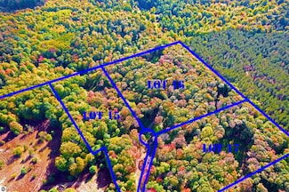 3096 NW Wildflower Ln, Williamsburg, MI 49690