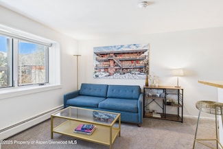 119 E Cooper Ave Unit 24, Aspen, CO 81611