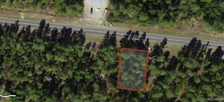 5658 W Oak Park Blvd, Homosassa Springs, FL 34446
