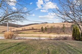 373 Taffy Run Rd, Rochester, PA 15074
