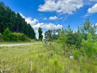 0 Luke Rd, Noxapater, MS 39346