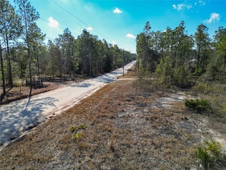 TBD NE 58th St, Bronson, FL 32621