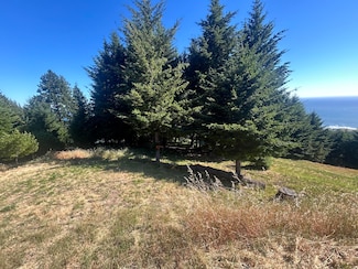 60 Highview Cir, Shelter Cove, CA 95589