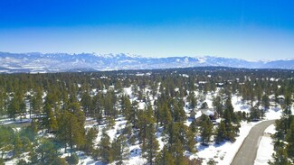 1922 Marmot Dr Unit 564, Ridgway, CO 81432