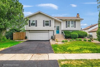 7336 W Mathews Dr, Frankfort, IL 60423