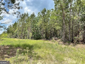 LOT 7.5 U S Highway 19, Dublin, GA 31021