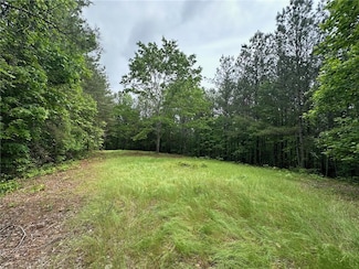 6.5-/+ Larmon Forks Rd, Dahlonega, GA 30533