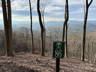 Lot 86 Pinnacle Peak Bluff Unit 86, Murphy, NC 28906
