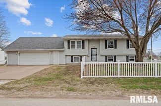 226 3rd St, Colona, IL 61241