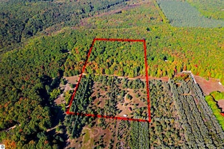 1159 Woodcourt Rd NW, Rapid River Township, MI 49676