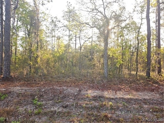 Lot 28 NW Ridgewood Rd, Dunnellon, FL 34431