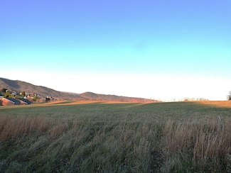 tbd Lot Remainder Parcel Asbury Ln, Wytheville, VA 24382