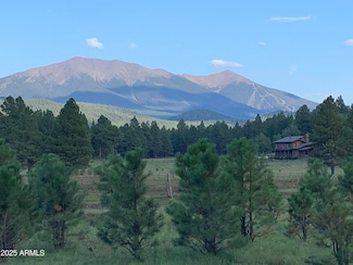 17622 Crowley Trail, Flagstaff, AZ 86001