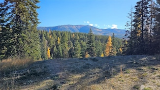 717 C Finley Gulch Rd, Colville, WA 99114