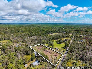 0 SW 820th St, Steinhatchee, FL 32359