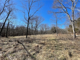 TBD (1) Blue Springs Rd, Goshen, AR 72703