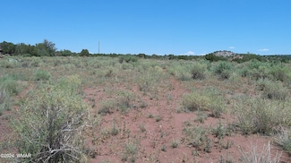 7 Cr 8277 Rd, Concho, AZ 85924