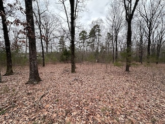 0 Morrison Rd Unit 22320525, Concord, AR 72523