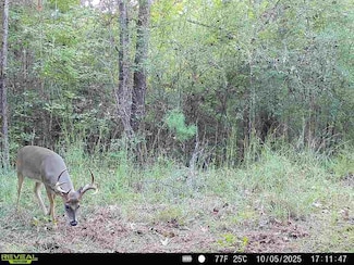 000 Nub Rd, Gloster, MS 39638