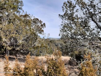 54353 Shadow Mountain Pkwy, Seligman, AZ 86337