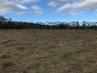 1325 Fort Christmas Rd, Chuluota, FL 32766