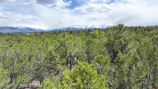 212 Fisher Canyon Dr, Ridgway, CO 81432