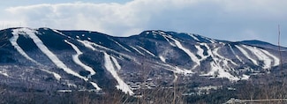 Lot 26 Mount Will Dr, Newry, ME 04261