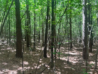 Tbd Copeland Rd, Broadway, NC 27505