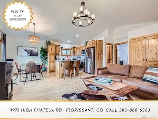 1978 High Chateau Rd, Florissant, CO 80816