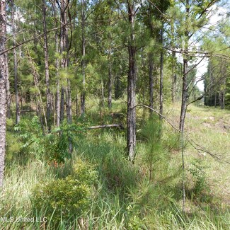 0 Central Firetower Rd, Lucedale, MS 39452