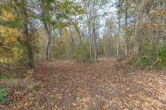 Tract 8 Old Dalton Cleveland Hwy, Cohutta, GA 30710
