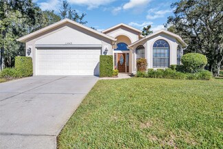 11445 Deercroft Ct, Spring Hill, FL 34609
