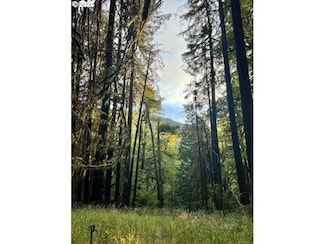 25993 E Henry Creek Rd, Rhododendron, OR 97049