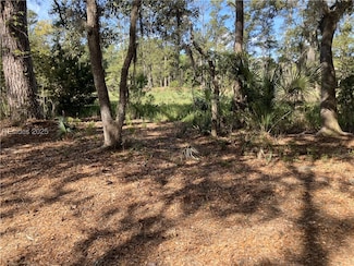 62 Bear Creek Dr, Hilton Head Island, SC 29926