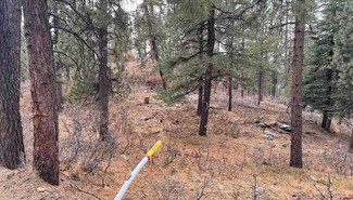 11 Blue Ridge Loop, Bayfield, CO 81122