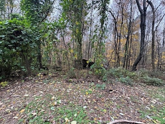 233 Poston Chapel Ln, Gainesboro, TN 38562