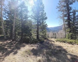 TBD Tract 34, Jasper, CO 81144
