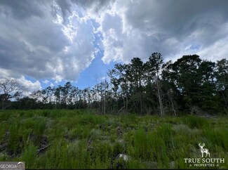 2800 Youngs Island Rd NW, Townsend, GA 31323