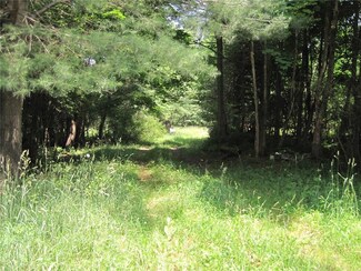 7105 County Line Rd, Naples, NY 14512