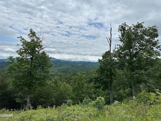 Lot 59 Misty Bluff Trail, Sevierville, TN 37862