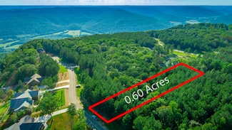 0 Crockett Pointe Unit 1513652, Jasper, TN 37347