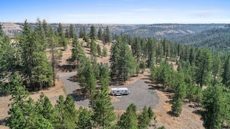 31576 E Sontag Ridge, Davenport, WA 99122