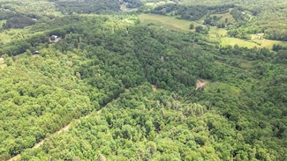 168 Amber Overlook, Turtletown, TN 37391