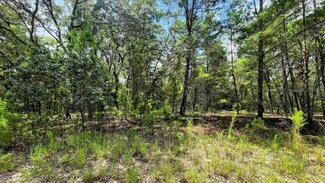 209 Lemon St, Pomona Park, FL 32181
