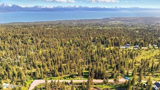 54533 Winchester Ave, Fritz Creek, AK 99603