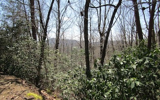 LT27 Mission Ridge Dr, Hayesville, NC 28904