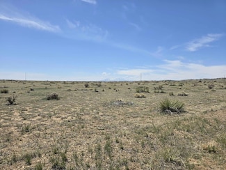 152 Turkey Ridge Ranch, Walsenburg, CO 81089